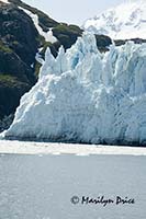 Barry Glacier, College Fjord, AK