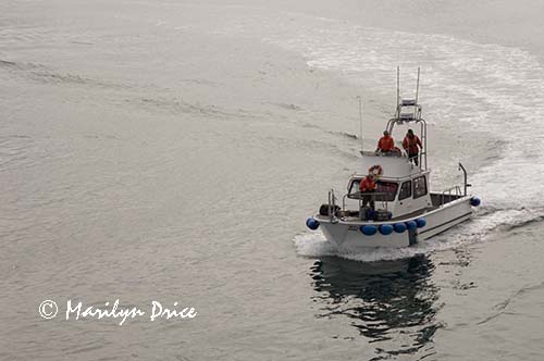 Glacier Bay National Park ranger coming aboard