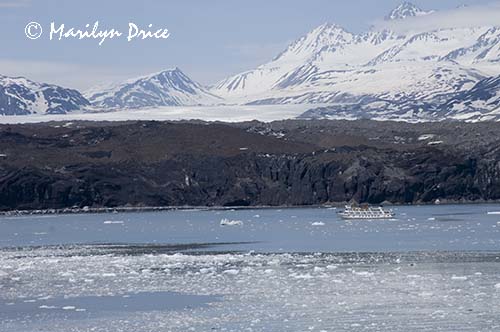 Small cruise ship in front of Grand Pacific Glacier