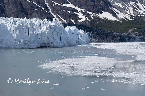 Margerie Glacier