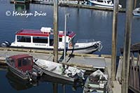 Photo safari boat, Juneau, AK