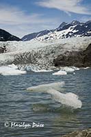 Mendenhall Glacier, Juneau, AK