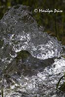 Glacial ice, Mendenhall Glacier, Juneau, AK