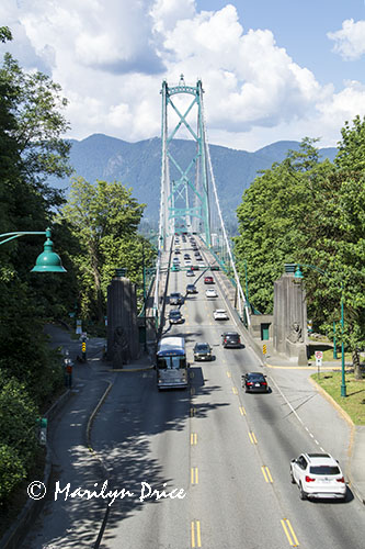 Lions Gate Bridge from overlook, Vancouver, BC