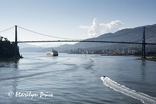 Holland America ship passes under Lions Gate Bridge, Vancouver, BC