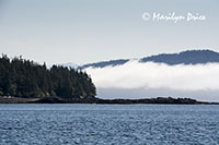 Misty Fjords National Monument Wilderness, AK