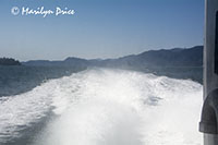 Our boat's wake, Misty Fjords National Monument Wilderness, AK