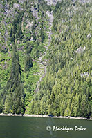 A ribbon waterfall, Misty Fjords National Monument Wilderness, AK