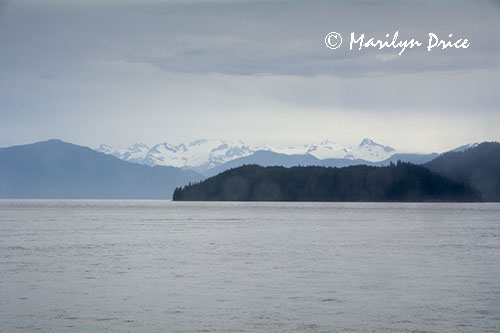 View out the cabin window as we approach Wrangell, AK