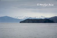 View out the cabin window as we approach Wrangell, AK