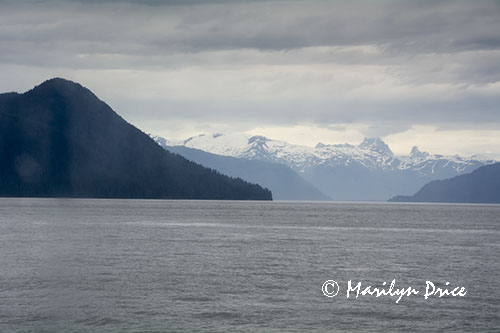 View out the cabin window as we approach Wrangell, AK