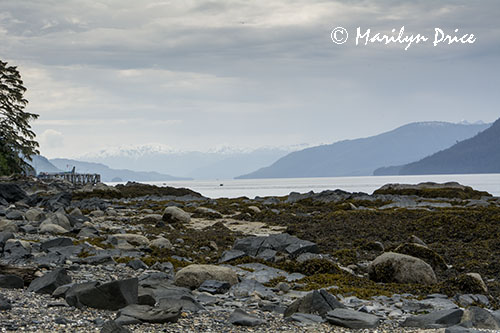 Petroglyph Beach, Wrangell, AK