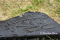 Petroglyph, Petroglyph Beach, Wrangell, AK