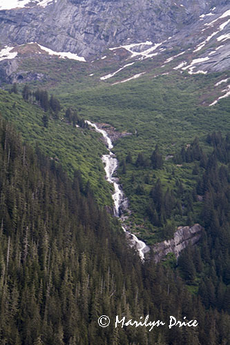 Waterfall, Tracy Arm, AK