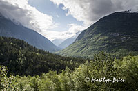 Denver Valley, on the road to White Pass, Skagway, AK