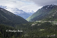 Looking down the valley from the road to White Pass, Skagway, AK