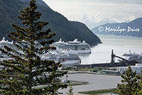 Four cruise ships in port today, Skagway, AK