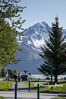 Mt. Alice, Seward, AK