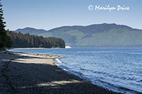 Looking along the beach towards our ship, Icy Strait Point, Hoonah, AK