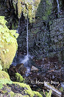 Small waterfall on the Forest Trail, Hoonah, AK