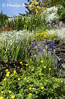 Sunken Gardens, Prince Rupert, BC