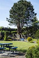 Sunken Gardens, Prince Rupert, BC