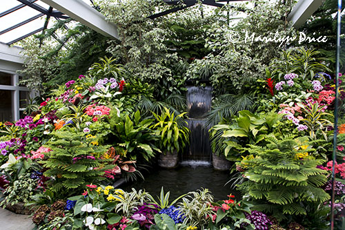 Conservatory display, Butchart Gardens, Victoria, BC