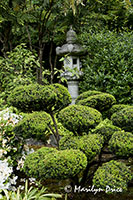 Japanese Garden, Butchart Gardens, Victoria, BC