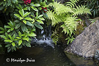 Japanese Garden, Butchart Gardens, Victoria, BC