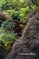 Japanese Garden, Butchart Gardens, Victoria, BC