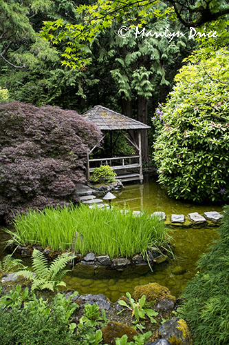 Japanese Garden, Butchart Gardens, Victoria, BC