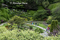 Sunken Garden, Butchart Gardens, Victoria, BC