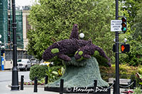 Orca topiary, Victoria, BC