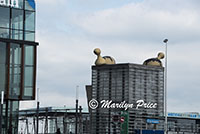 Building whimsy seen on the canal cruise, Amsterdam, Netherlands