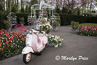 One of the themed areas (wedding), Keukenhof Gardens, Netherlands