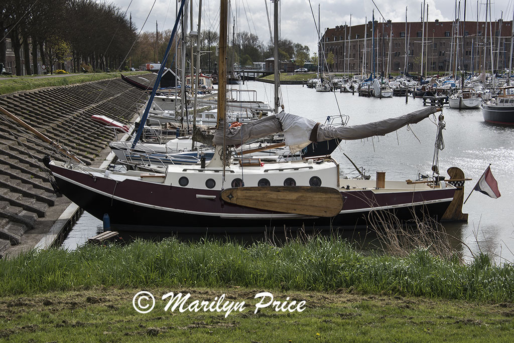 Boat in the harbor, Hoorn, Netherlands