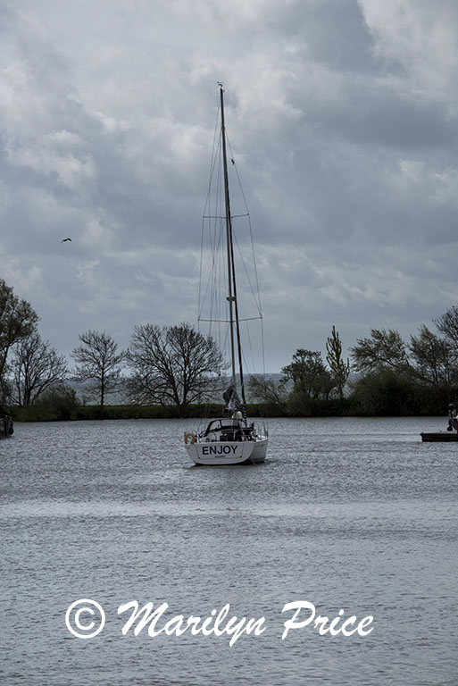 Sailboat, Hoorn, Netherlands