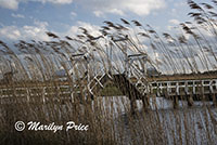 Drawbridge at Kinderdijk, Netherlands