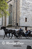 Horse drawn carriage passes the Church of Our Lady Bruges, Bruges, Belgium