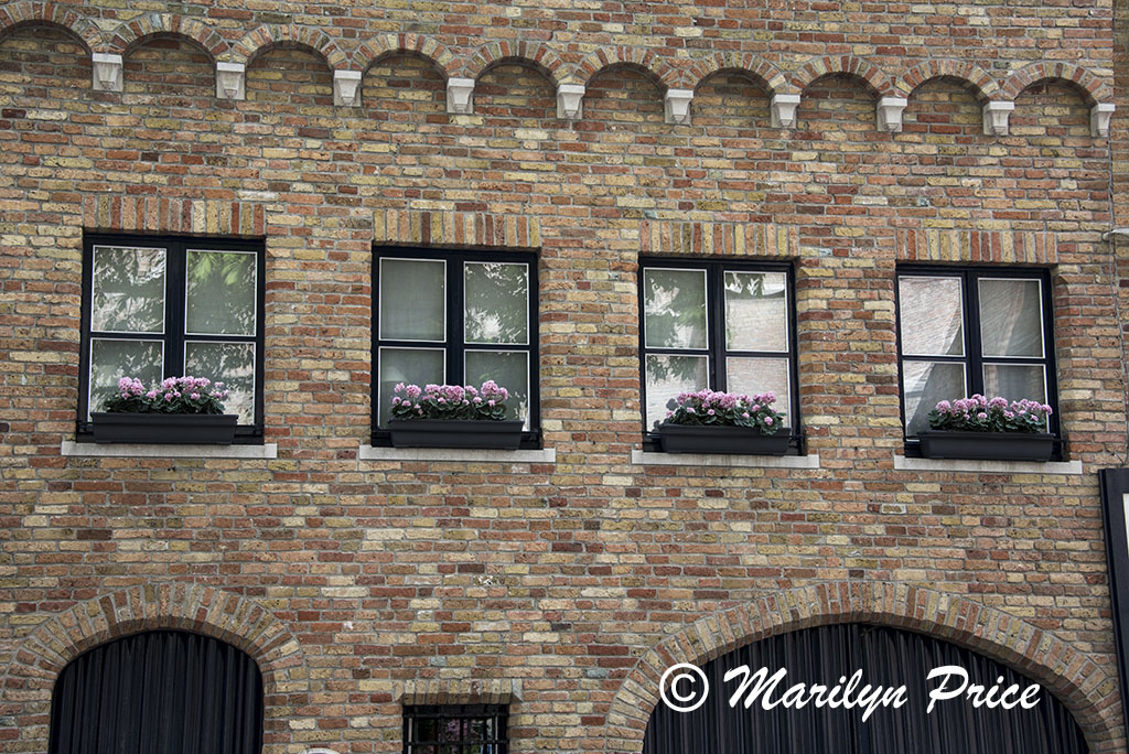 Windowboxes on the second floor, Bruges, Belgium