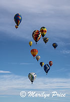 Coming in for a controlled landing at the field, International Balloon Fiesta, Albuquerque, NM