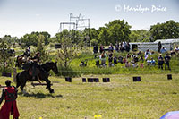 Jousting action, Montana Renaissance Faire, ZooMontana, Billings, MT