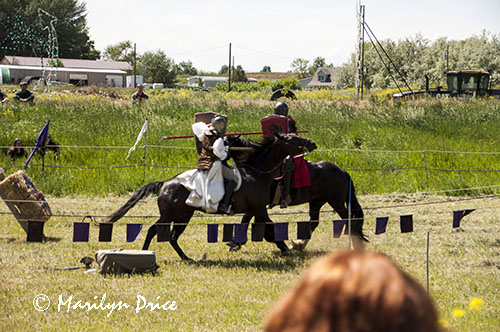 Jousting action, Montana Renaissance Faire, ZooMontana, Billings, MT