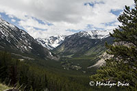 Upper Rock Creek Canyon, Beartooth Pass Byway, MT