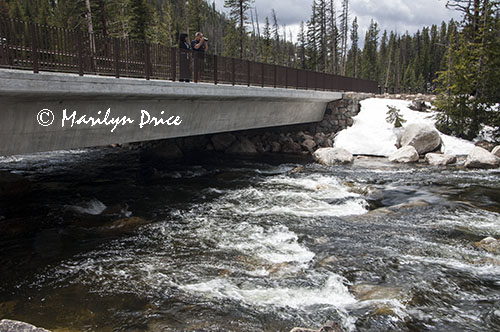 Bridge at the outlet of Beartooth Lake, Beartooth Pass Byway, MT