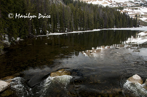 Rapids near the outlet of Beartooth Lake, Beartooth Pass Byway, MT