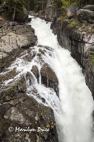 Lake Creek Falls, Beartooth Pass Byway, MT