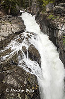 Lake Creek Falls, Beartooth Pass Byway, MT