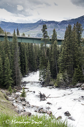 Lake Creek Falls, Beartooth Pass Byway, MT