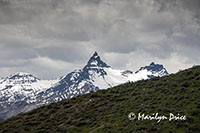 The Bear's Tooth, Beartooth Pass Byway, MT